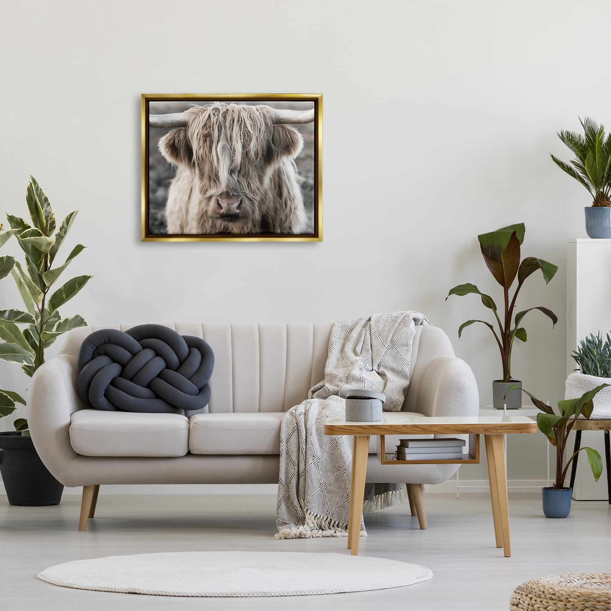 Stupell Industries Detailed Highlands Cattle Rural Farm Animal Photography Photograph Metallic Gold Floating Framed Canvas Print Wall Art, Design by Danita Delimont