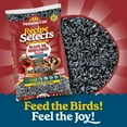 thumbnail image 6 of Pennington Recipe Selects Black Oil Sunflower Seed Dry Wild Bird Feed, Bird Food, 10 lb. Bag, 1 Pack, 6 of 15