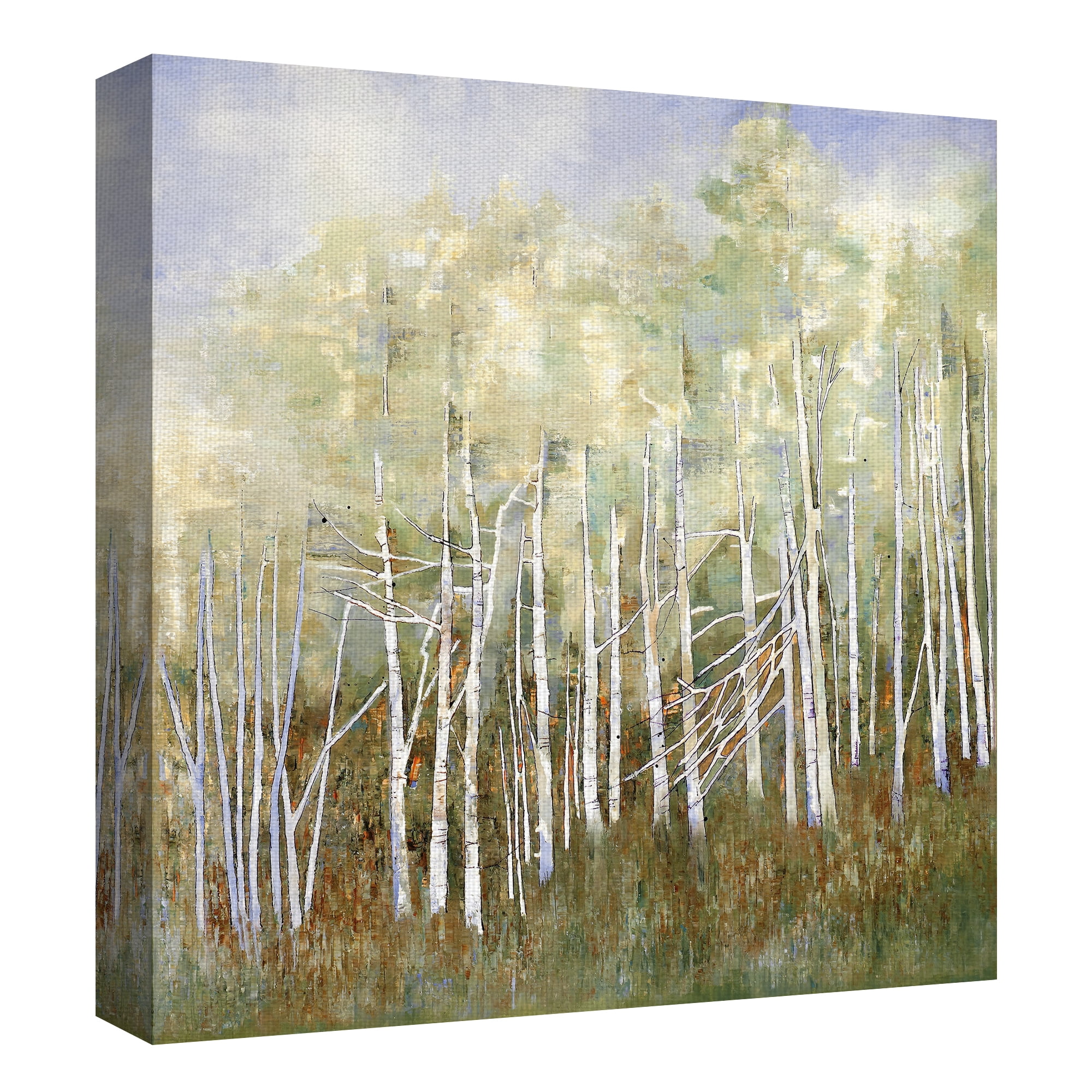 Masterpiece Art Gallery Necessary Change, Summer Birch By Danna Harvey Canvas Art Print 35" x 35"