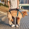 thumbnail image 6 of Quick Install Dog Belt For Senior Canines Comfortable Padded Polyester Mobility Rehabilitation Harness, 6 of 15
