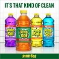 thumbnail image 6 of Pine-Sol All Purpose Multi-Surface Disinfectant Cleaner, Original Pine, 100 Ounces, 6 of 10