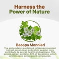 thumbnail image 3 of Bacopa Extract Powder (Bacopa Monnieri) 50% Bacosides - Herbal Extract Brahmi Supplement (4 oz.), 3 of 7