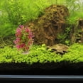 thumbnail image 4 of PENIKOKO Fish Tank Accessories Fish Tank Artificial Plants Burgundy 1 Set for Fish Tank, 4 of 6