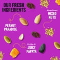 thumbnail image 3 of Semillas para aves COOL BIRDS Gourmet de nueces y frutas 4,5 kg, 3 of 9