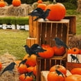 thumbnail image 6 of XGFHYJEH Halloween Outdoor Decor Decoration, 3pc Halloween Simulation Crow, Halloween Decorations Ornaments For Outside Graden Lawn Proch Patio Yard, 6 of 6