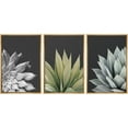 thumbnail image 3 of IDEA4WALL Framed Canvas Print Wall Art Set of 3 Trio of Echevaria Succulents Floral Plants Set Nature Plants Photography Modern Art Closeup for Entryway, Bedroom, Office - 24"x36"x3 Natural, 3 of 5