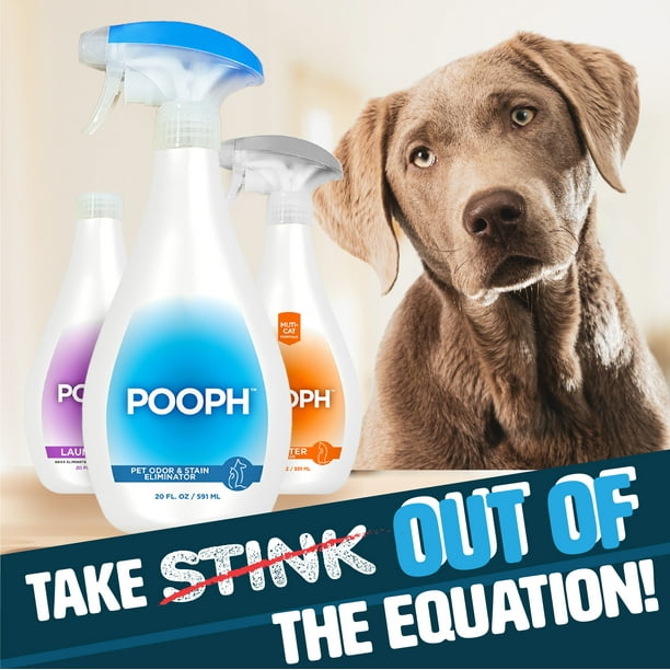 Pet odor and stain eliminator discount