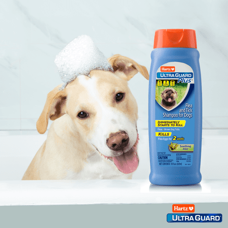 Hartz UltraGuard Plus Flea And Tick Aloe Shampoo For Dogs, 18oz