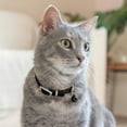 thumbnail image 6 of 1Pack Leather Cat Collar with Bell - Kitten Collar, Small and Big Cat Strap for Boy Cats, Girl Cats, 6 of 7