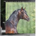 thumbnail image 3 of Ambesonne Horse Shower Curtain, Animal Photo from Its Back, 69"Wx75"L, Umber Peacock Green, 3 of 4