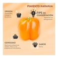 thumbnail image 4 of Pimiento naranja por kilo, 4 of 4