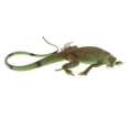 thumbnail image 4 of Juguetes de animales Sunnimix Modelo de animales del bosque de la selva PL127-1334, 4 of 8
