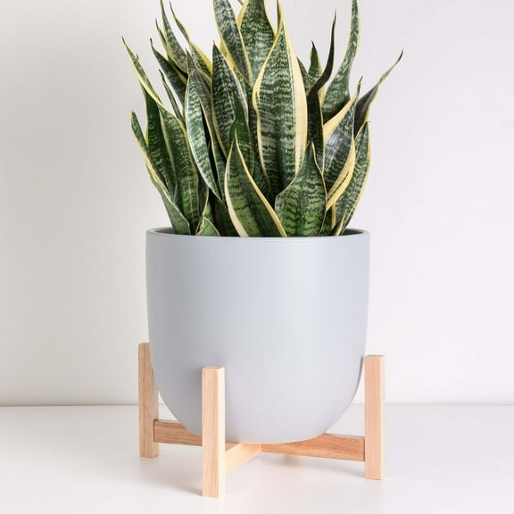 Peach & Pebble 10" Grey Egg Shaped Planter Natural Wood Stand