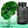 thumbnail image 7 of Max Strength Ginko Biloba Extract Supplements - Promotes Memory, Focus, and Brain Health - 120 Capsules, 7 of 7