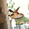 thumbnail image 5 of Zcyifa Tree Mounted Bird Feeder with Tray and Bath Bowl for Backyard and Window, 5 of 10