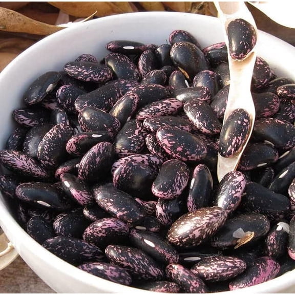 Scarlet Emperor Runner Bean Seeds for Planting (20 Seeds) - Delicious and Easy to Grow