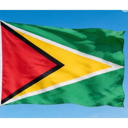 Guyana Country Flag