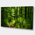 thumbnail image 2 of Fascinating Greenery in Wild Forest - Forest Canvas Art Print, 2 of 3