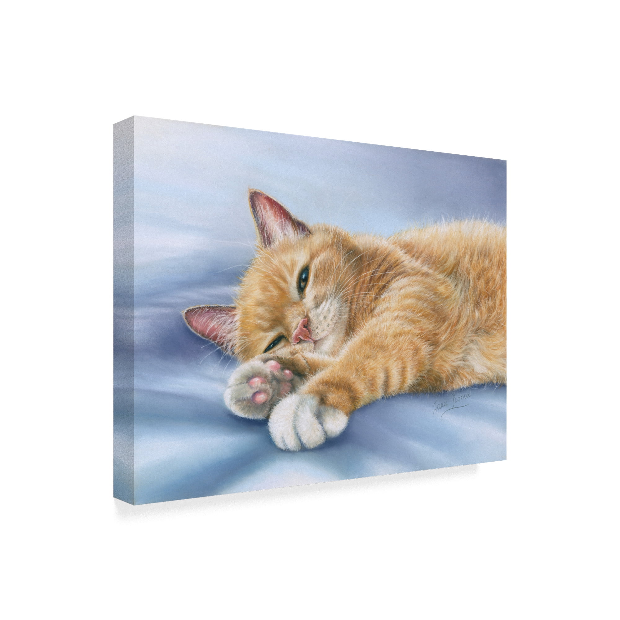 Trademark Fine Art 'Jack Cat' Canvas Art by Janet Pidoux