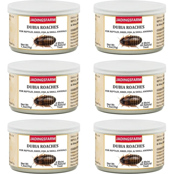 JADINGSFARM 6 Pack Canned Dubia Roaches for Reptiles, Birds and Small Animals, Dubia Roaches, Healthy High Protein Treat, Reptile Food 7.2 Ounces Total