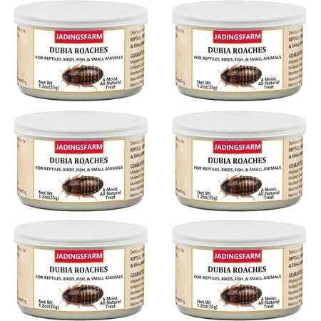 JADINGSFARM 6 Pack Canned Dubia Roaches for Reptiles, Birds and Small Animals, Dubia Roaches, Healthy High Protein Treat, Reptile Food 7.2 Ounces Total