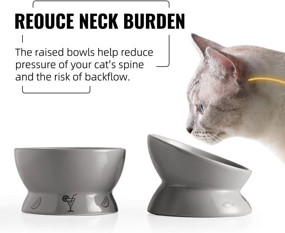 SWEEJAR Raised Cat Bowls Set, Tilted Food Bowl and Deep Water Bowl, Ceramic Pet Bowl Collection for Cats and Small Dogs, Set of 2 (Gray)