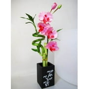 9GreenBox - Lucky Bamboo - Spiral Style with Artificial Flowers and Ceramic Vase