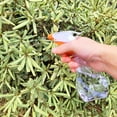thumbnail image 2 of Juego de herramientas de jardín - 13 piezas de herramientas de jardinería con mango ergonómico resistente con estuche de transporte, rastrillo, pala, rociador y sierra de podar, 2 of 5