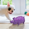 thumbnail image 3 of Latex Dog Squeaky Toys Polka Dot Piglet Pig Dog Toy Dog Training, 3 of 5