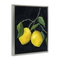 thumbnail image 4 of Stupell Industries Two Lush Lemons Food & Beverage Painting Gray Floater Framed Canvas Art Print Wall Art, 17 x 21, 4 of 10