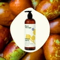 thumbnail image 3 of Plant Therapy Jojoba Golden Carrier Oil 16 oz 100% Pure, Cold-Pressed, Natural and GMO-free Moisturizer and Carrier Oil for Essential Oils, 3 of 8