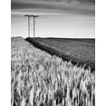 thumbnail image 2 of Jones-Davies, Russell 26x32 White Modern Wood Framed Museum Art Print Titled - Two-tone, 2 of 4