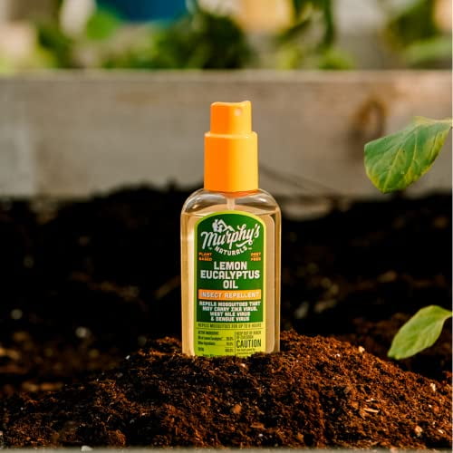 Effective DIY Insect Repellents for Home and Garden