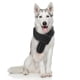 thumbnail image 1 of Bufanda gris para mascotas, ropa tejida para gatos y perros, bufanda para gatos, bufanda cómoda para mascotas 2089, 1 of 5