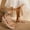 Khaki, variant on Women Summer Sandals Open Toe No Sole Beach Sneakers Trendy Soft Casual Casual Shoes 40