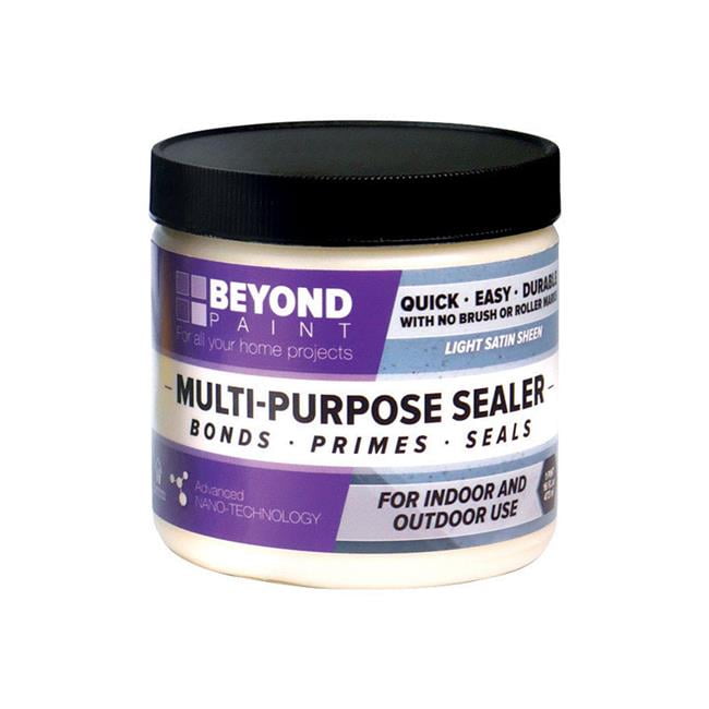 Beyond Paint 1631779 1 pint AllinOne Interior & Exterior Acrylic