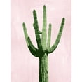 thumbnail image 2 of Jensen, Mia 19x24 Black Ornate Wood Framed with Double Matting Museum Art Print Titled - Cactus on Pink III, 2 of 4
