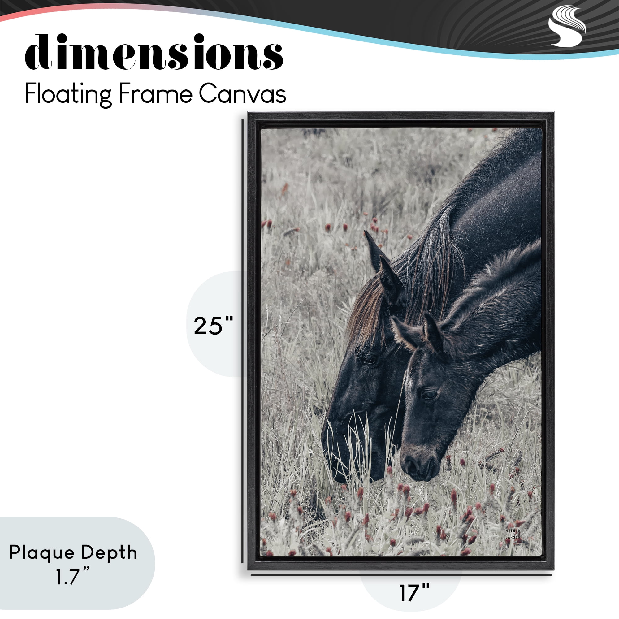 Stupell Industries New Graze Horses in Meadow Black Framed Floater Canvas Wall Art, design by Nathan Larson