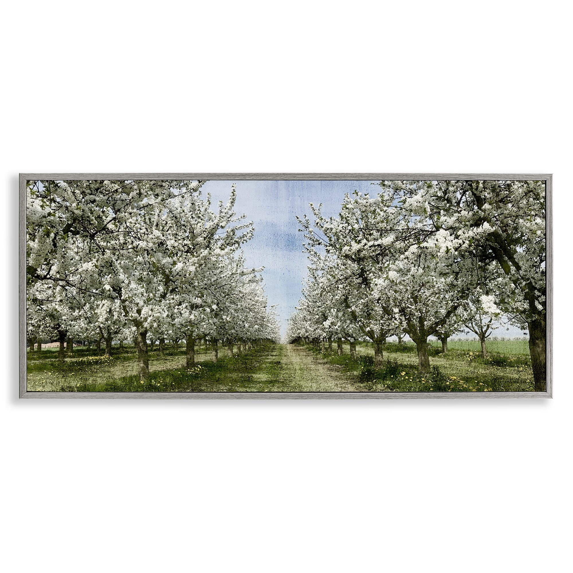 Stupell Industries Blooming White Flower Buds Trees Orchard Meadow Framed Wall Art, 30 x 13, Design by Kim Allen