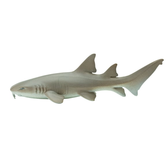 Safari Ltd Nurse Shark Figurine - Lifelike 5.5" Model Figure - Educational Toy for Boys, Girls, and Kids Ages 3 