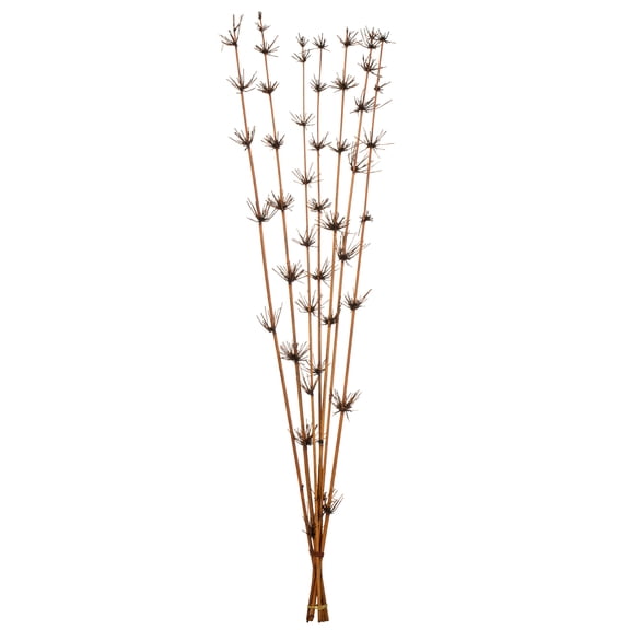 Vickerman 36-40" Brown Star Bamboo Reed, 7 stems, Dried