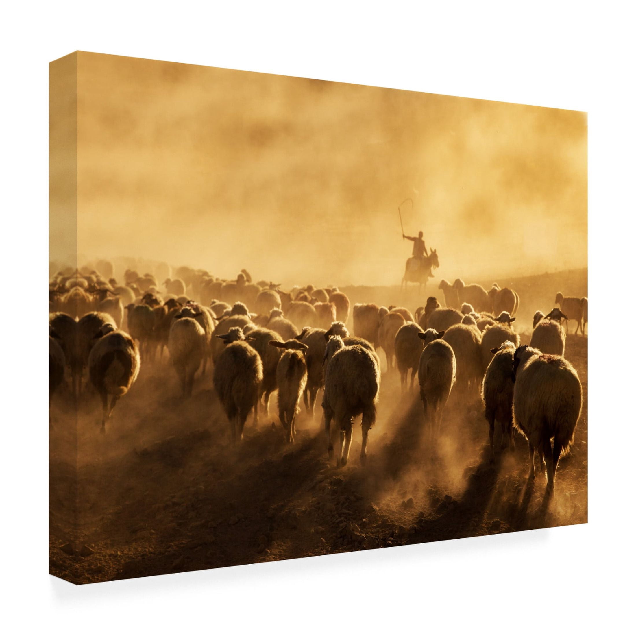 Canvas Wall Art - Feyzullah Tunc 'Light Power' Wall Art for Living Room, Bedroom, or Office Décor by Trademark Fine Art - 24 x 18 Inches
