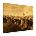 thumbnail image 4 of Canvas Wall Art - Feyzullah Tunc 'Light Power' Wall Art for Living Room, Bedroom, or Office Décor by Trademark Fine Art - 19 x 14 Inches, 4 of 4