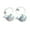1 white 1 blue, variant on 2PCS Whale Keychains Fashion Key Jewelry Key Pendant Acrylic Texture Key Holder Perfect for Couples or Friend