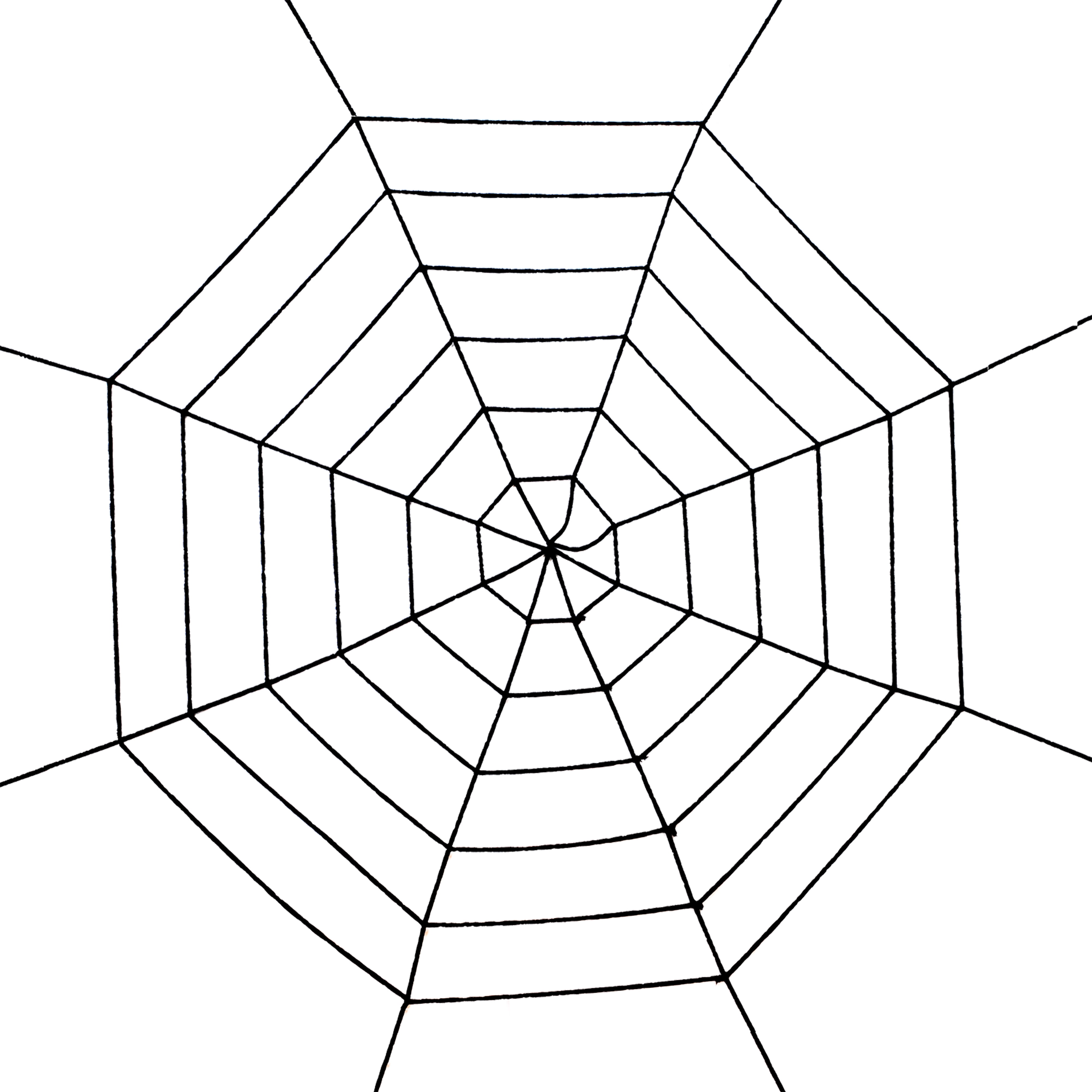 giant spider web prop