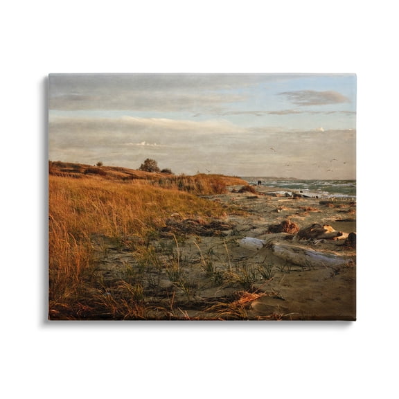 Seaside Reeds Coastal Scene Landscape Photograph Gallery Wrapped Canvas Print Wall Art