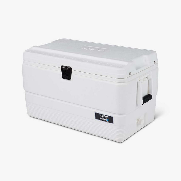 Walmart igloo marine best sale cooler