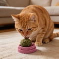 thumbnail image 4 of Interactive Cat Chew Ball Toy with Natural Catnip, Rolling Wobble Pet Teething Toy, Teeth Cleaning Plaything for Indoor Cats, Boredom Relief Cat Enrichment Toy, 4 of 4