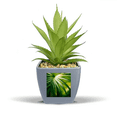 thumbnail image 1 of Sunshine   Nature Photography Fake Pineapple Flower Pot Vase Mini Decor, 1 of 3
