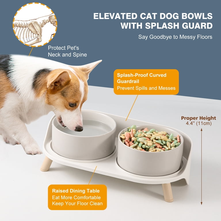 Kitwinney Elevated Ceramic Dog Bowls (2-Pack) - Raised Stainless Steel Stand For Medium Dogs, Anti-Slip